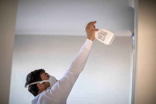 Best Localized Mold Remediation (e.g., coastal areas, humid climates) in Everett, MA
